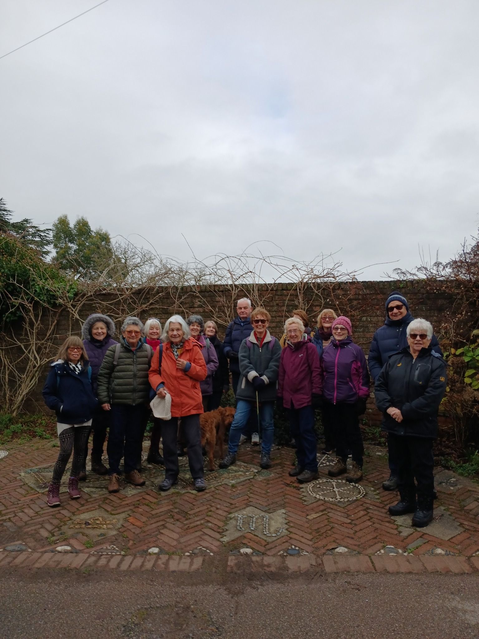 photo of Teignmouth Walkers
